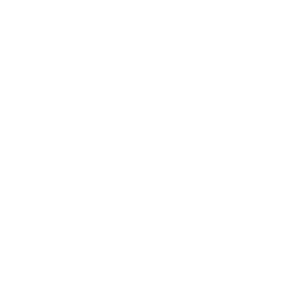 Register of Play Inspectors International Logo